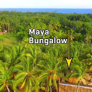 Maya Bungalow 3*, Panglao Filipinler